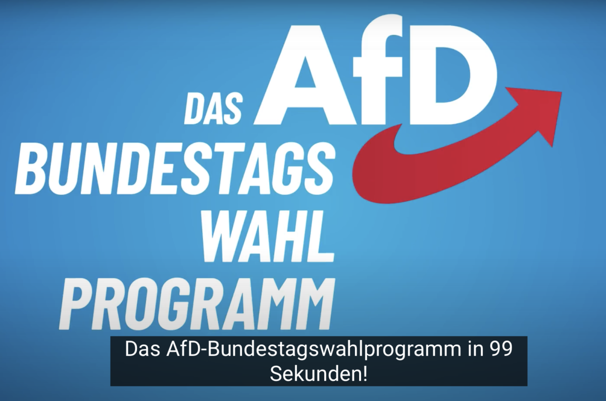 Das AfD Bundestagswahlprogramm in 99 Sekunden AfD München