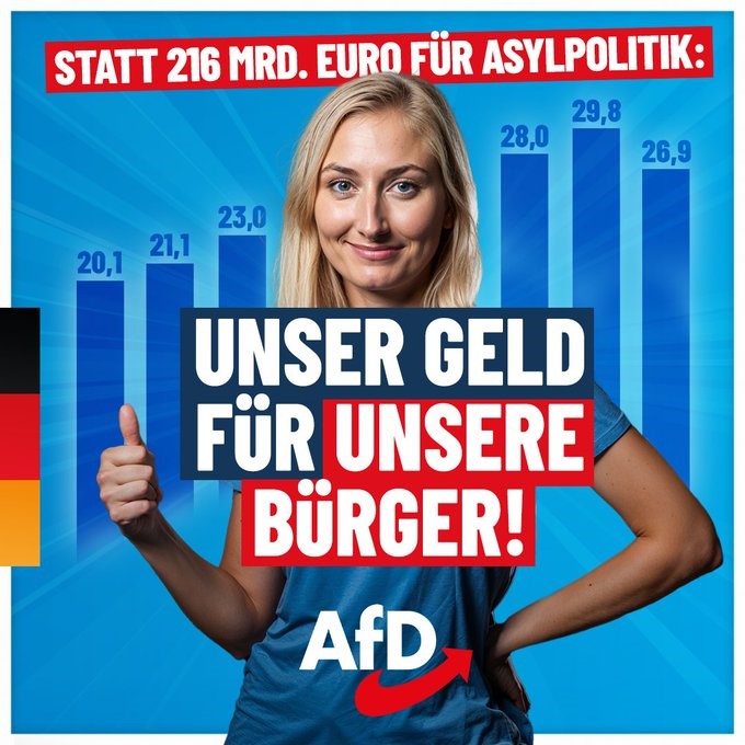 AfD Unser Geld für unsere Bürger Asylchaos beenden